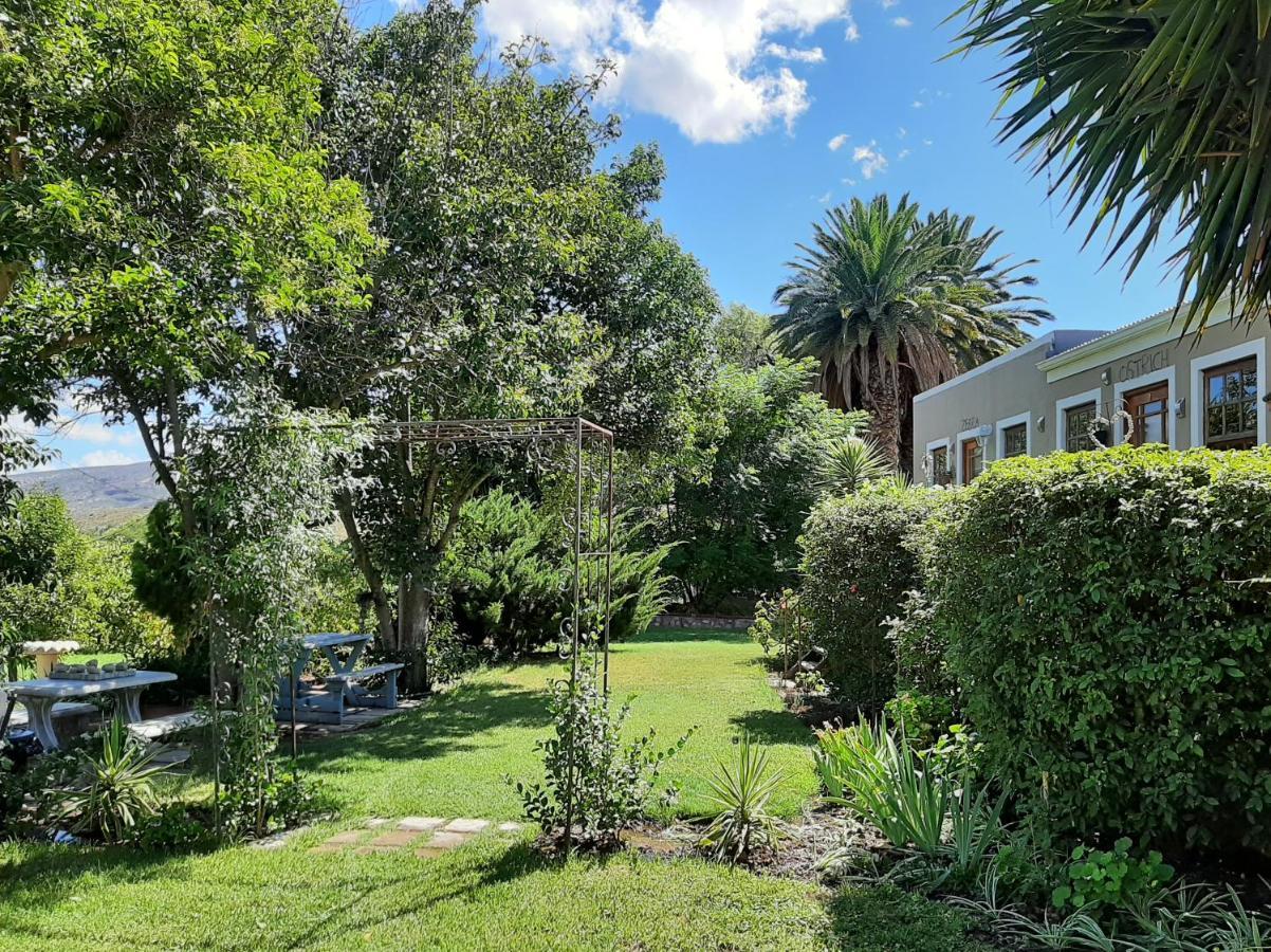 Karoo Life B&B คาลิทซ์ดอร์ป ภายนอก รูปภาพ